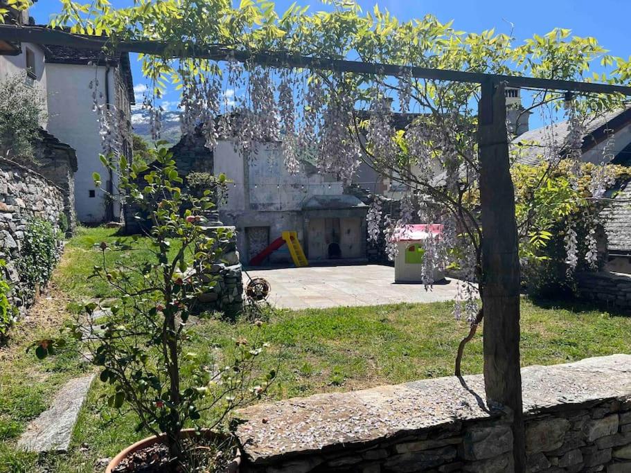 Antica Casa Noce Rivoria