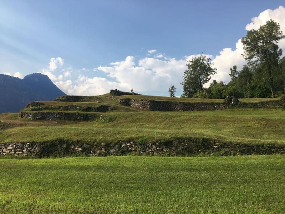 Antica Casa Noce Rivoria