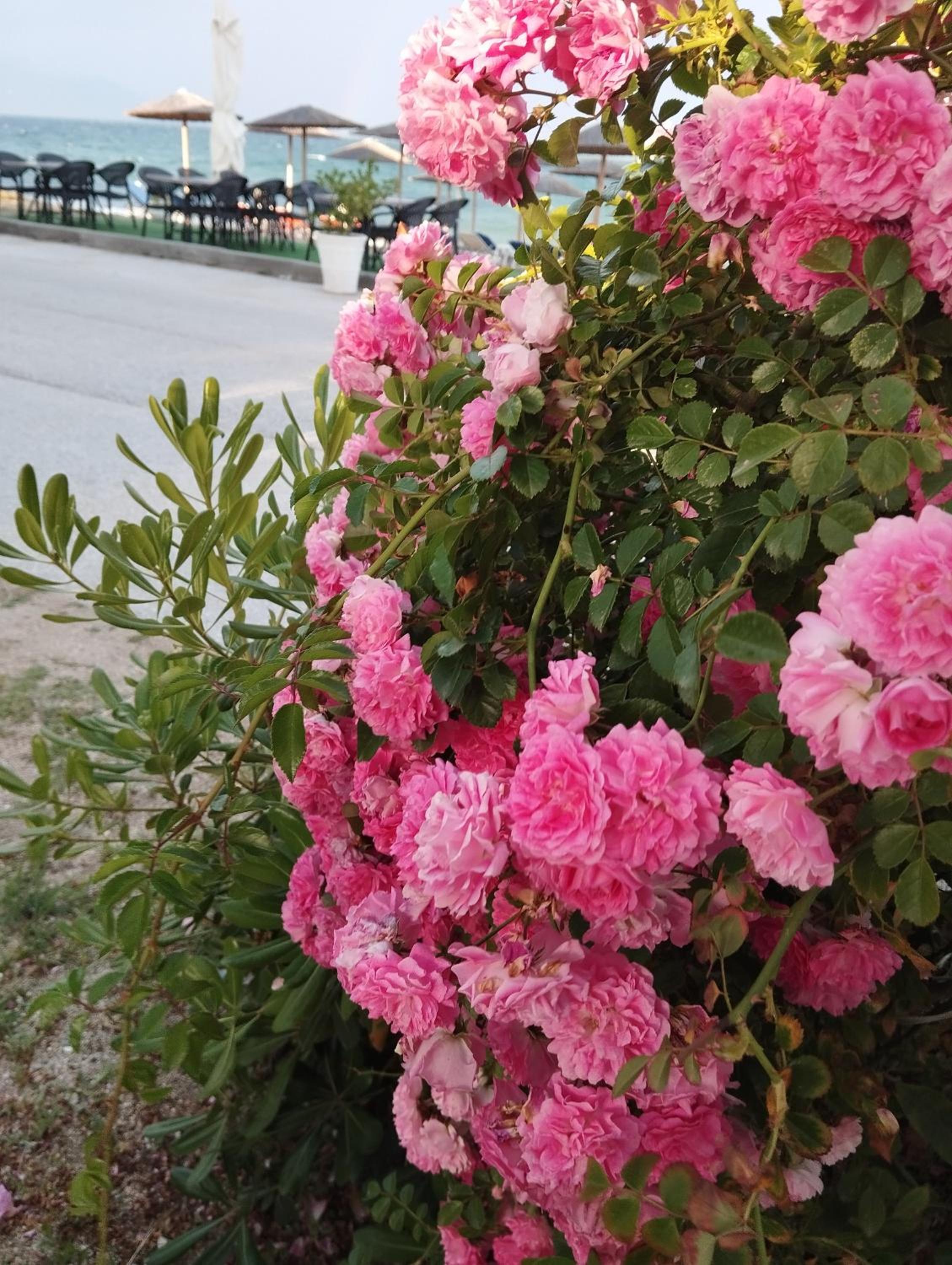 Photo 47