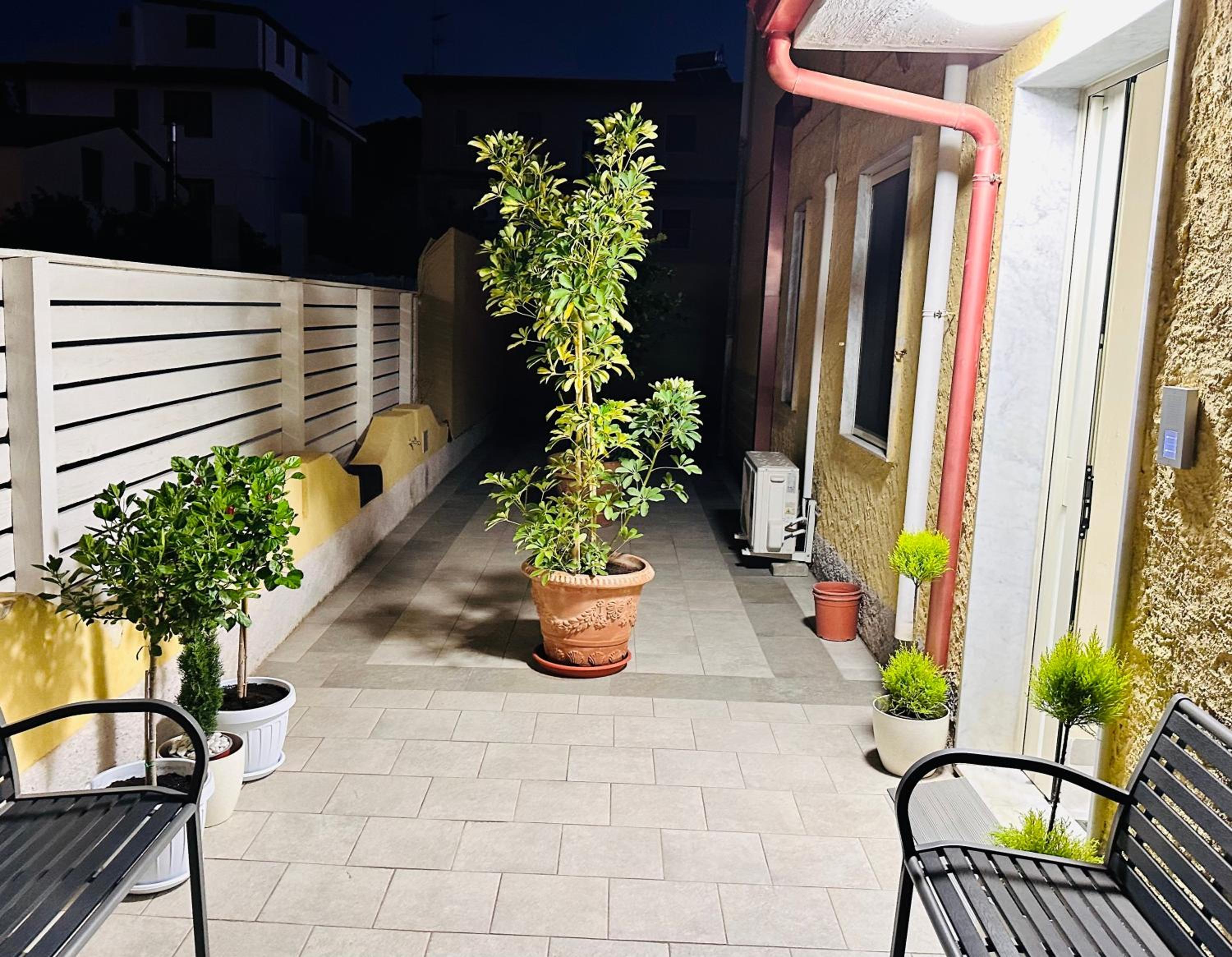Photo 21