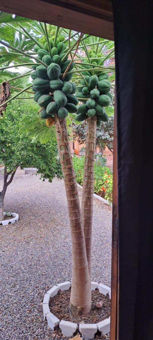 Riad Asmaa Agadir view 2