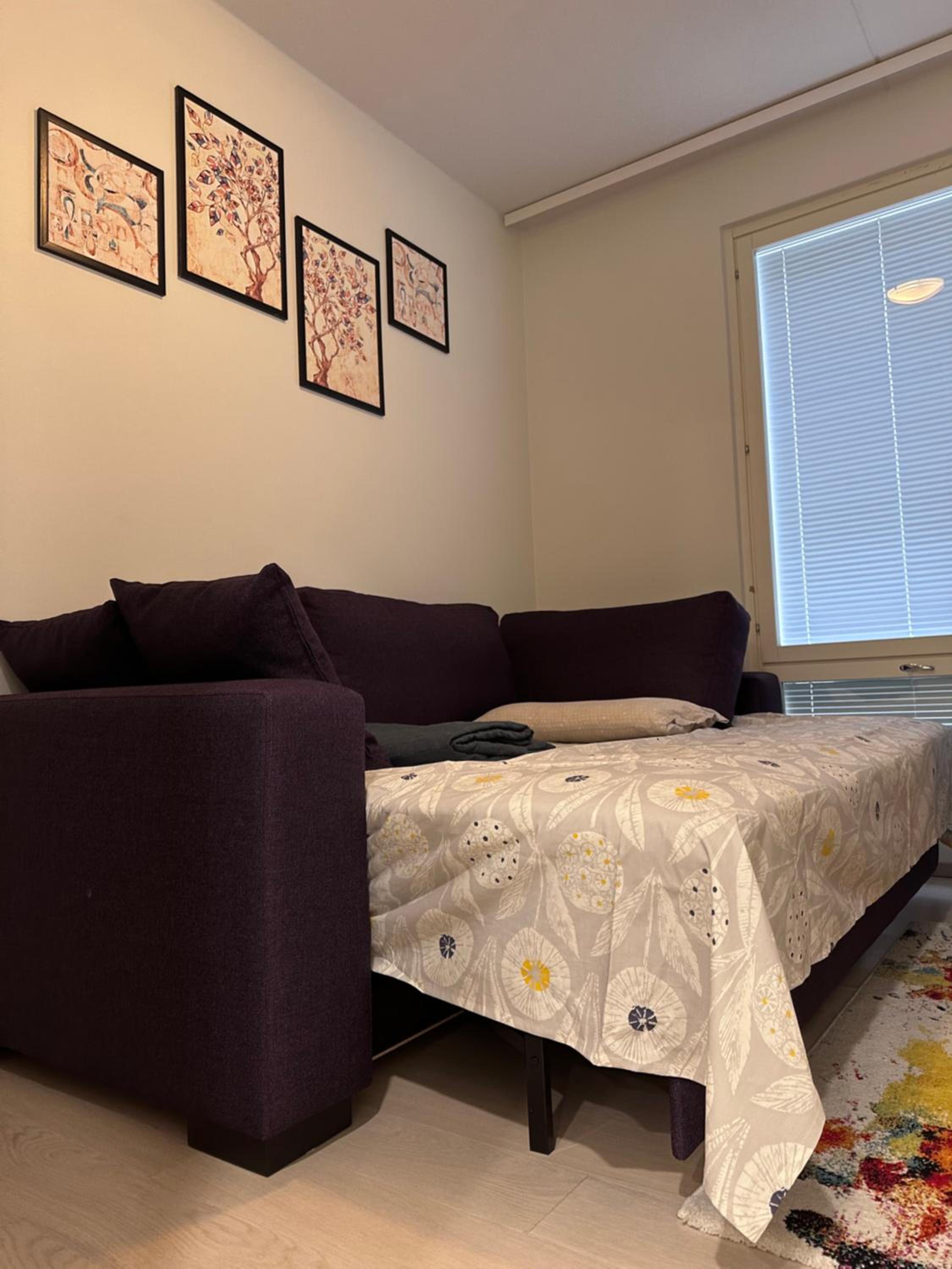 Luxury in Kaleva centrum