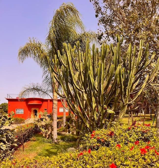 Villa Casablanca avec piscine