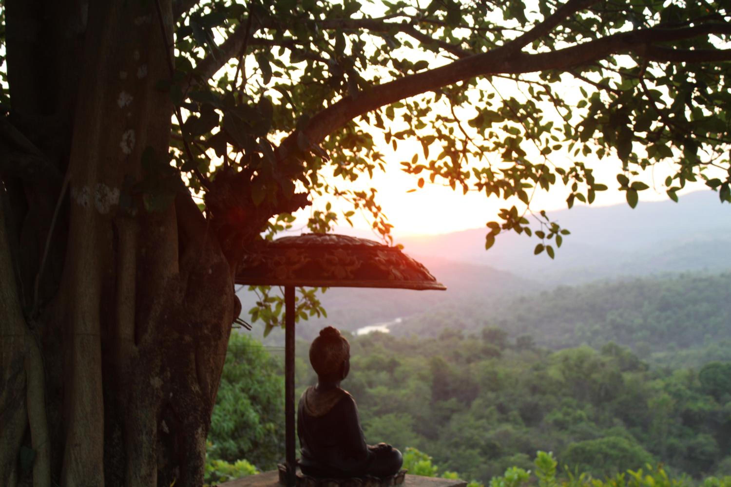 Bramhagiri Resort