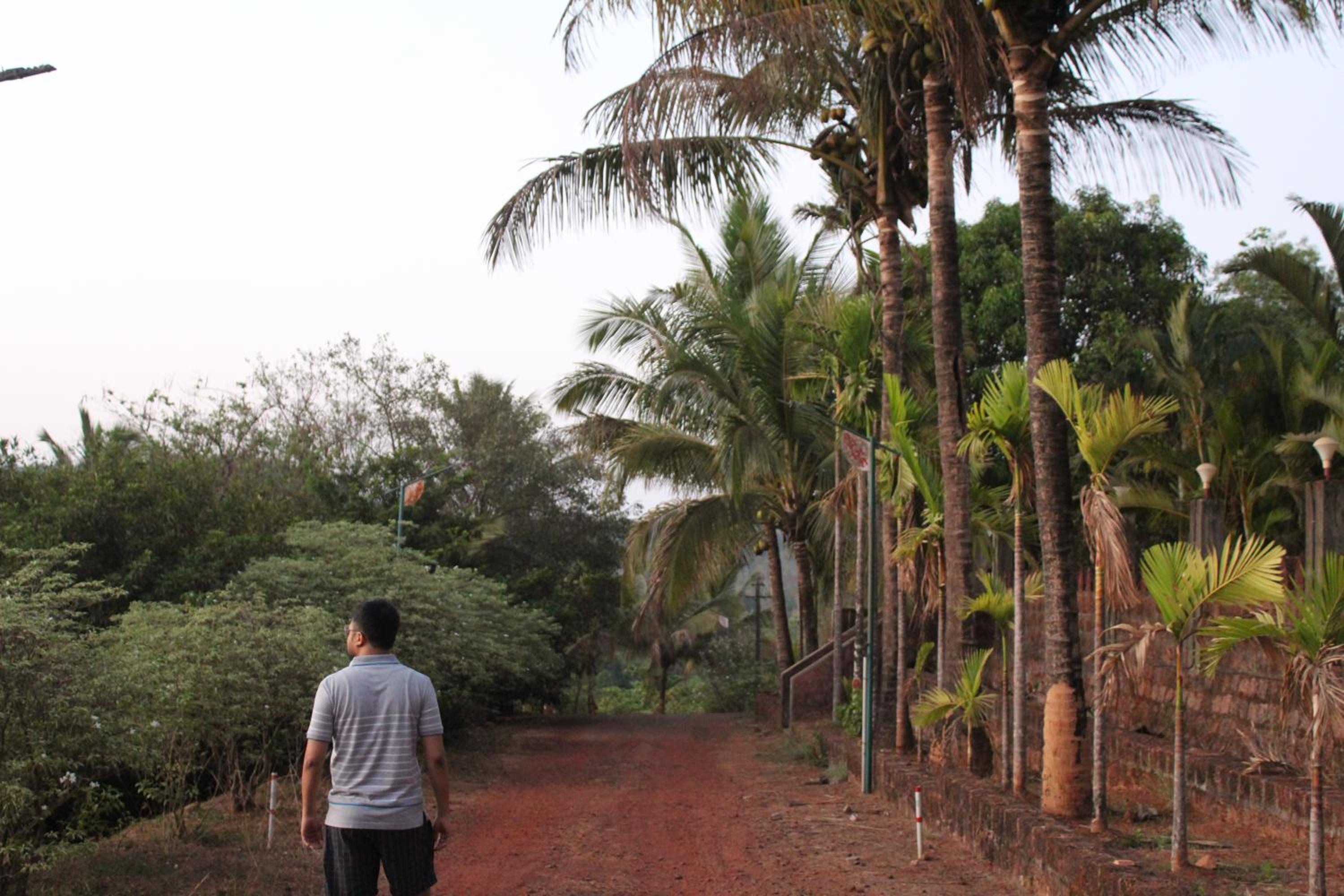 Bramhagiri Resort