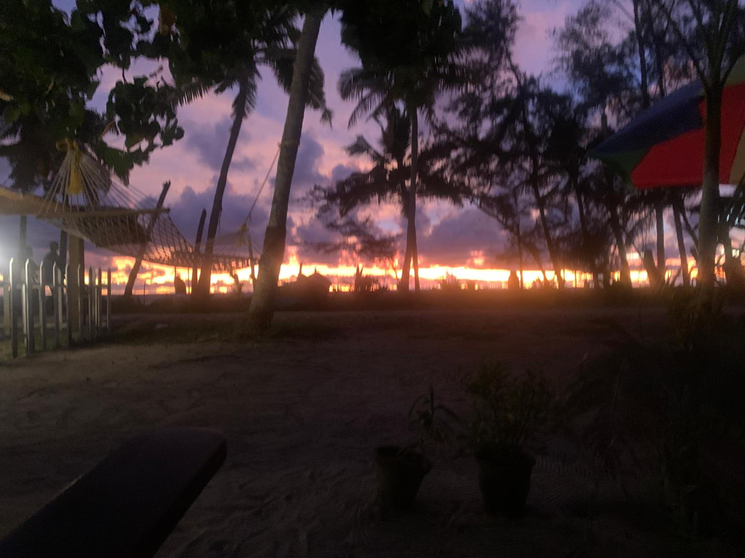 Shoreline Marari Beach Villa At Golden Beach Mararikulam view 2