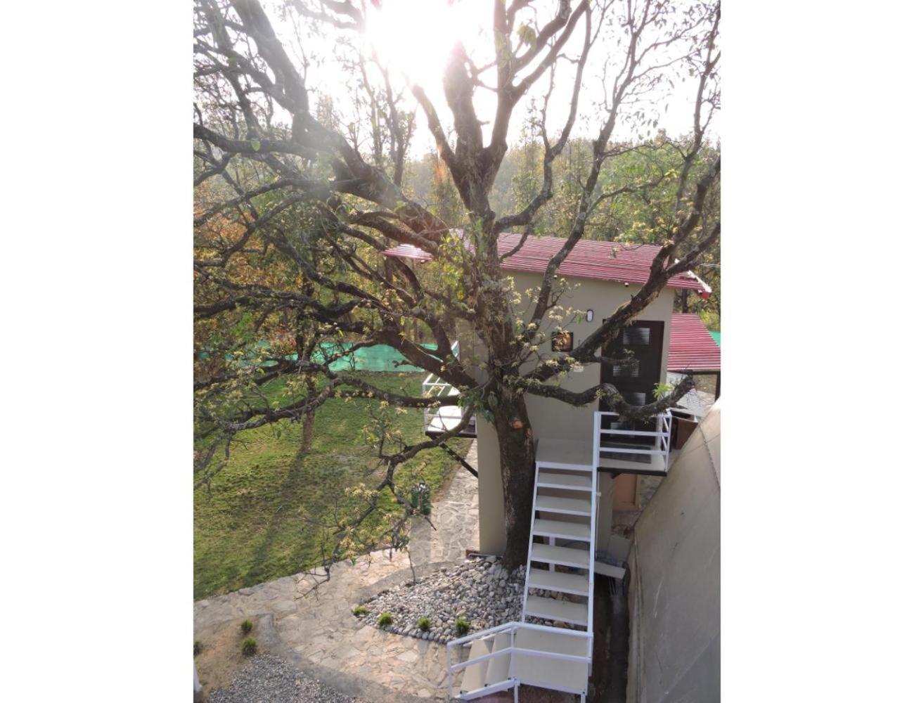 Photo 25
