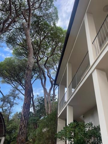 Villa Il boschetto view 3