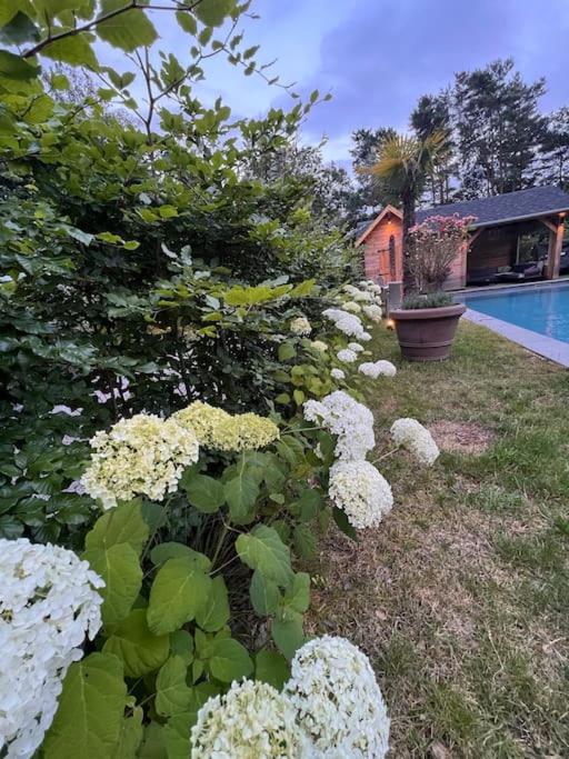 Villa in idyllic surroundings with pool and tennis