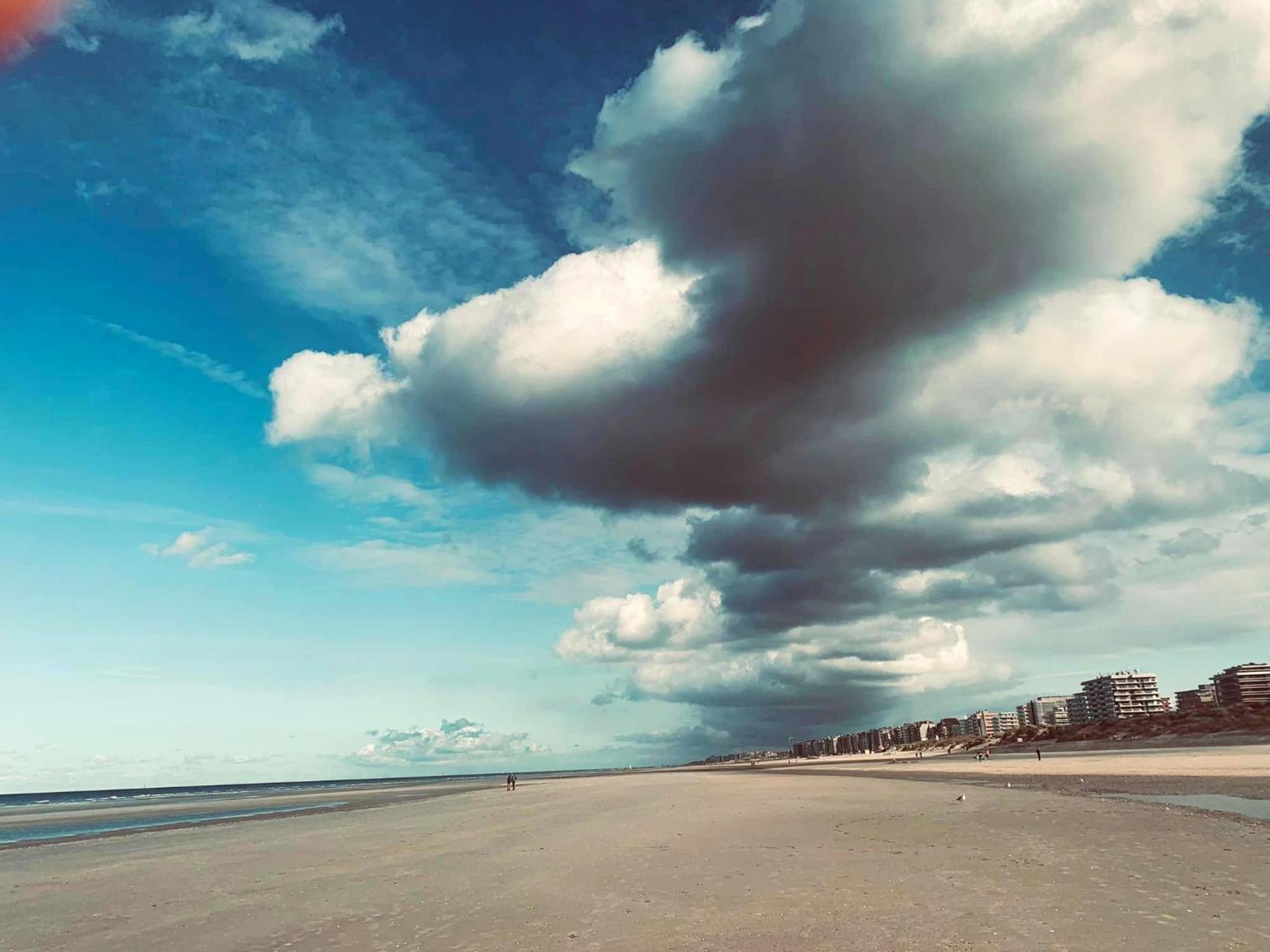 DePanne FiftyOne