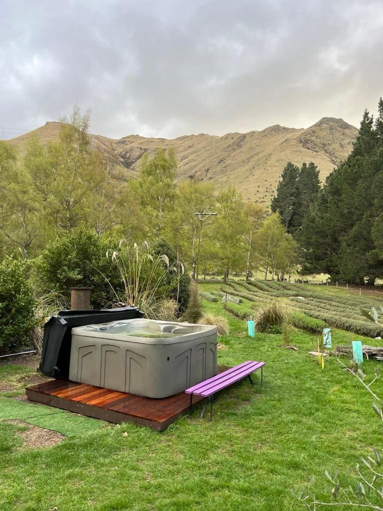 Danseys Pass Lavender Farm Shearer's Hut view 4