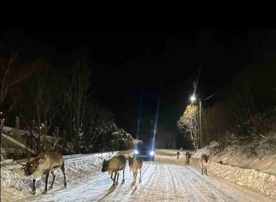 Hus i nærheten av Fjellheisen view 5