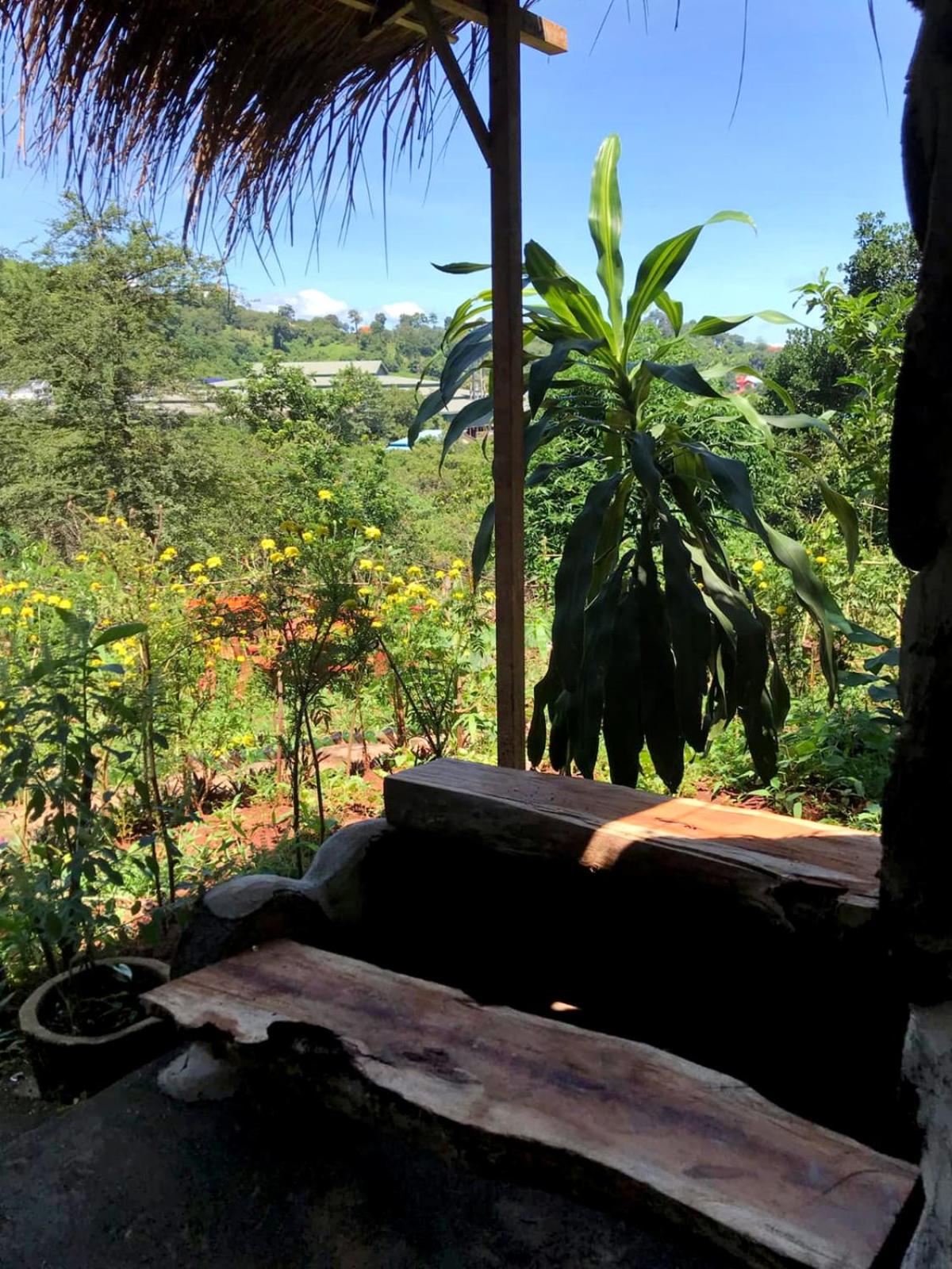 Backpacker Hostel and Jungle Trekking