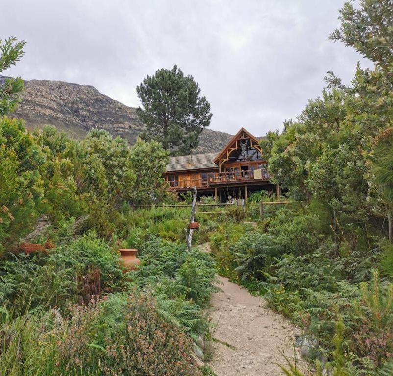ScalarHoney Lodge