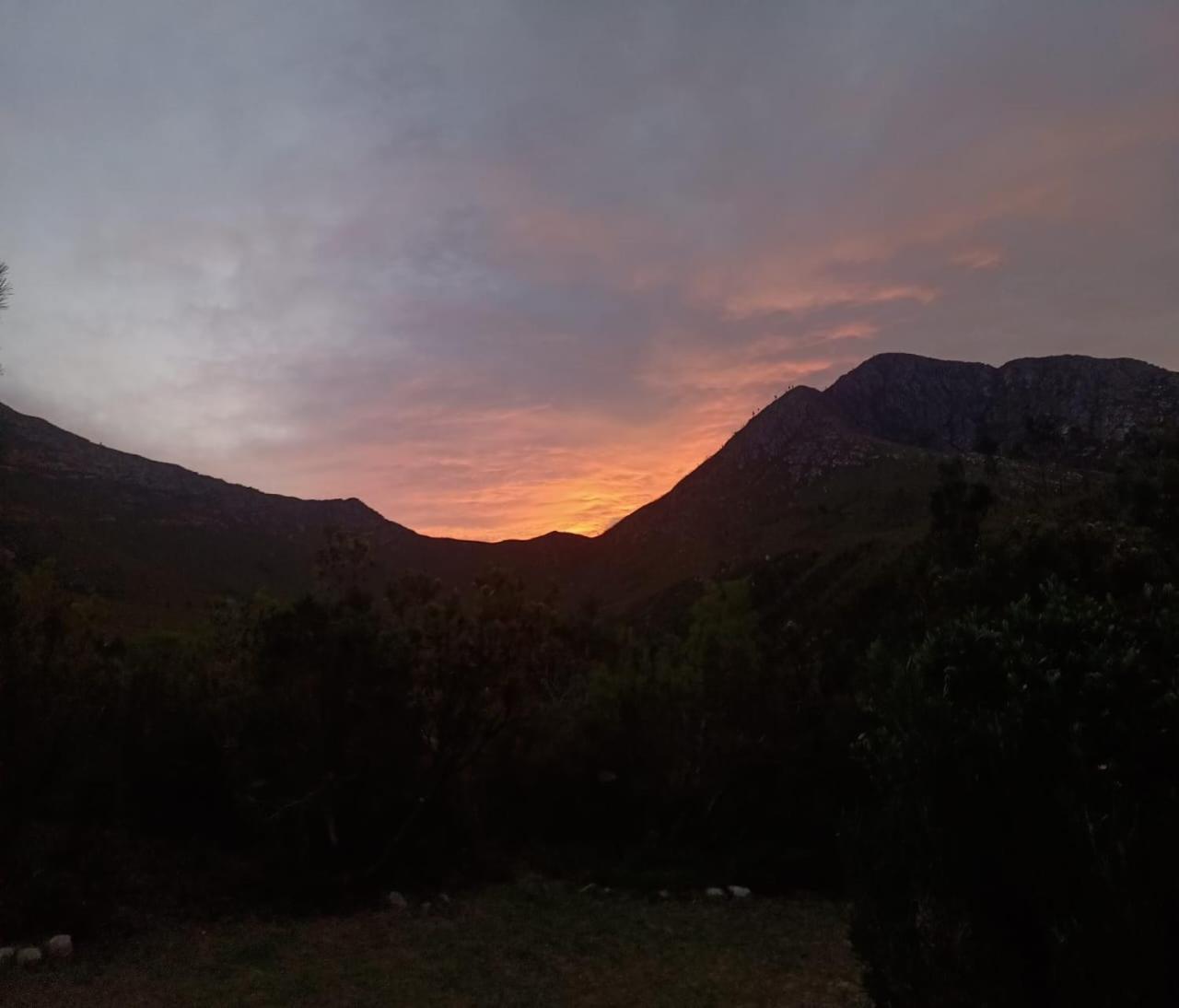 ScalarHoney Lodge