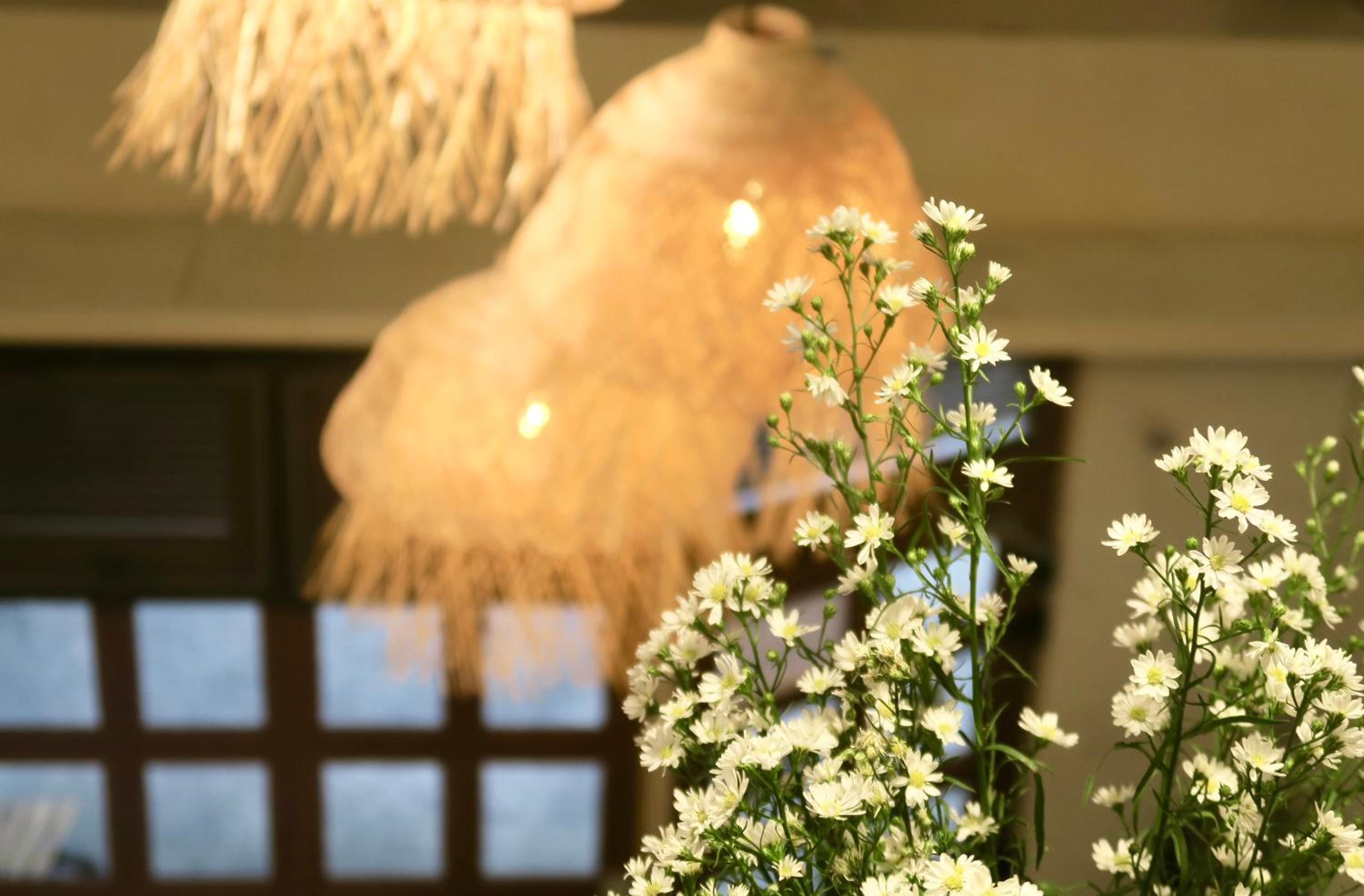 Les Fleurs Bangkok Hostel