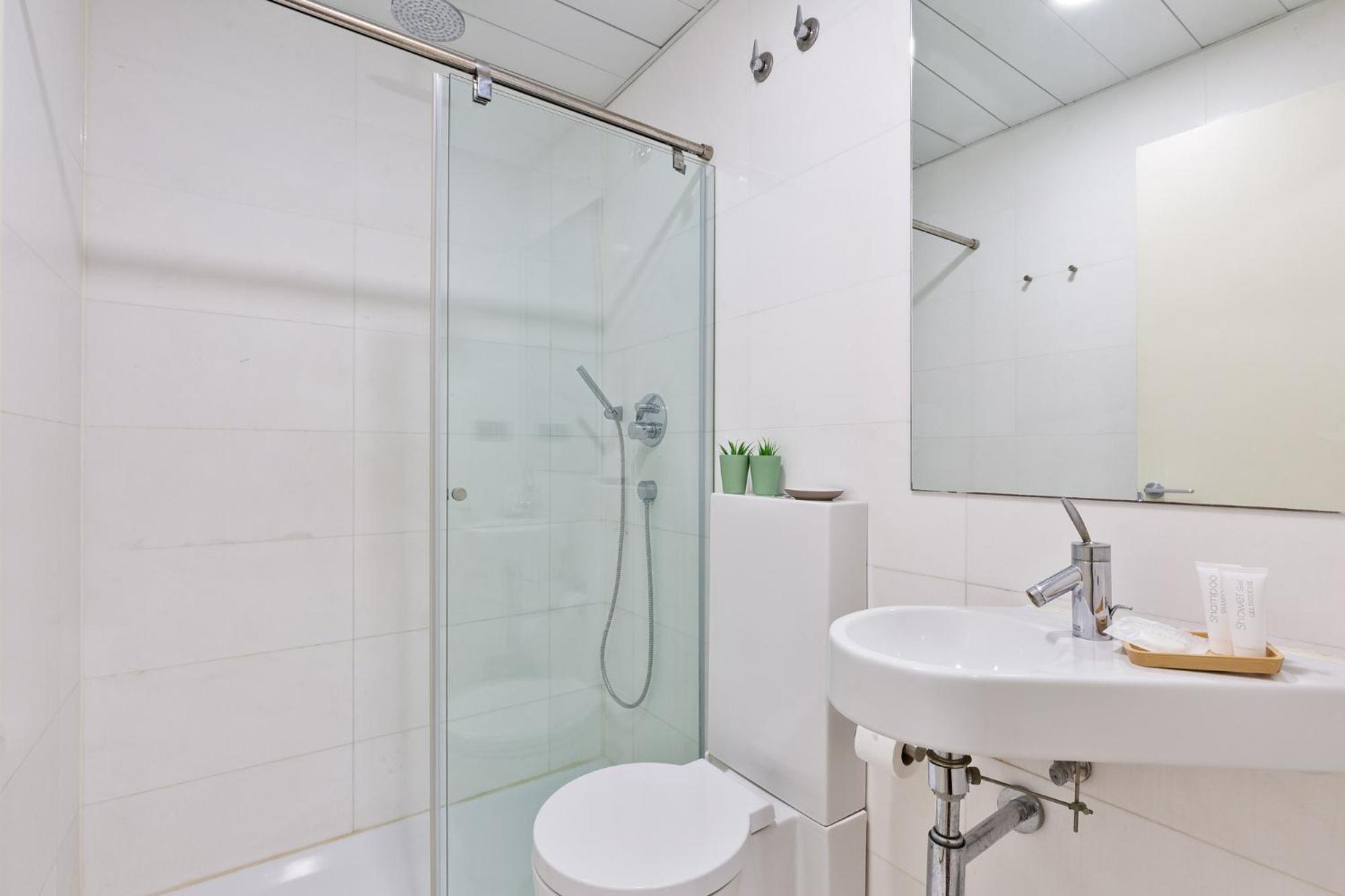 Ola Living Plaza Catalunya