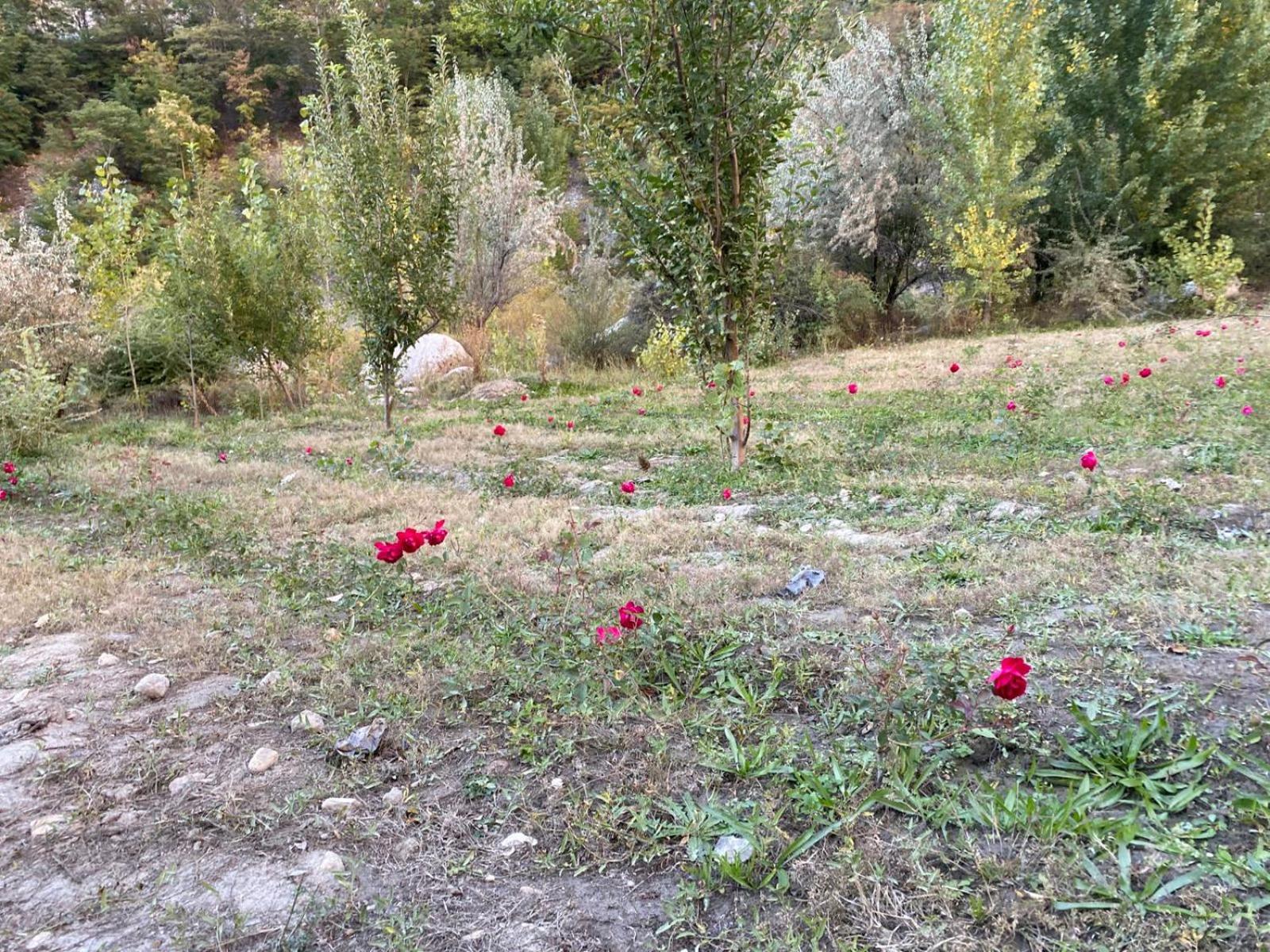 Photo 25