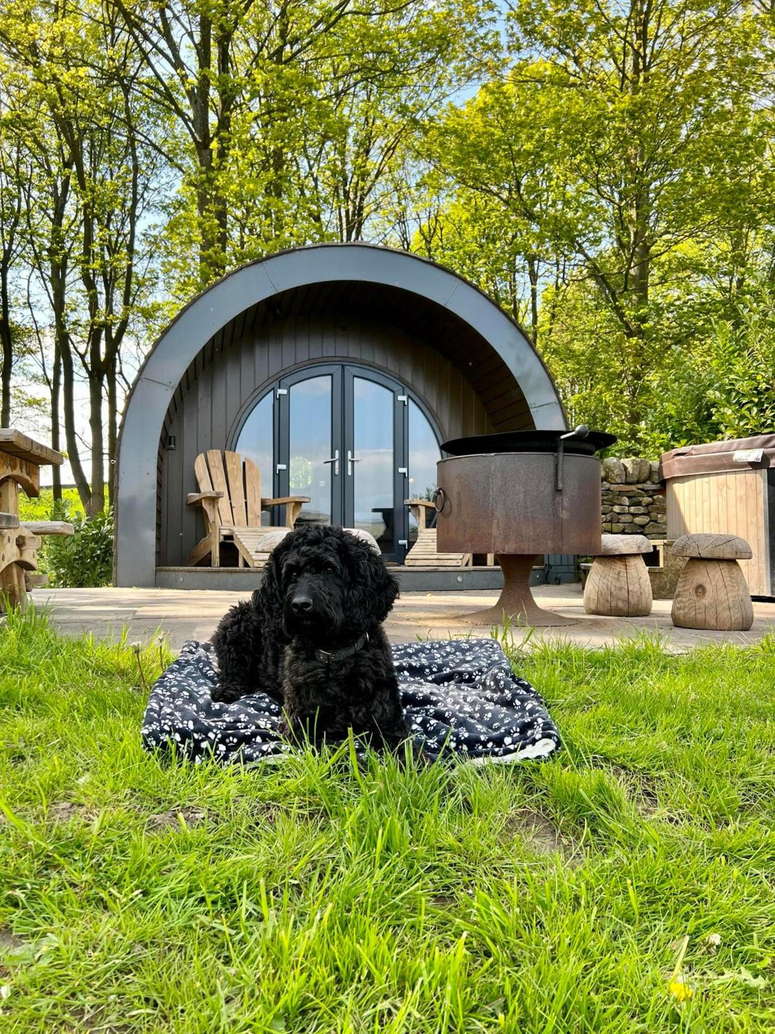 Catgill Farm