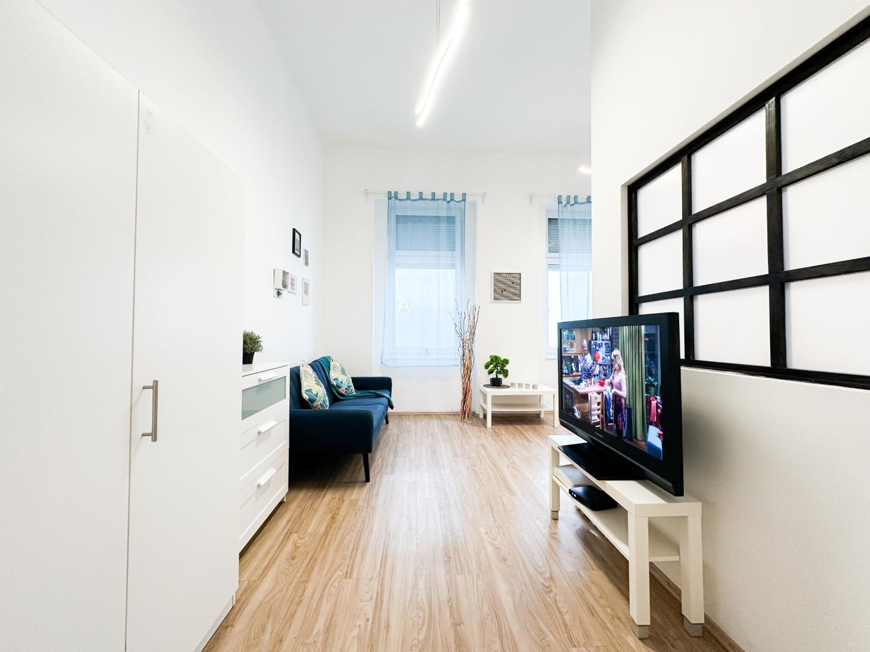 Spacious Buda Apartment Air Conditioning