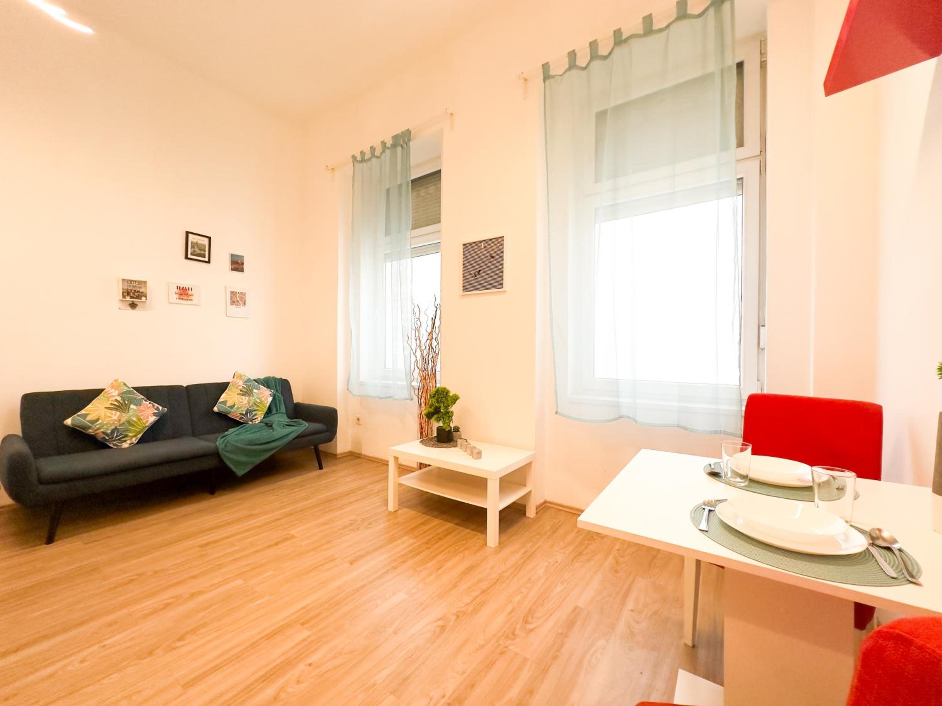 Spacious Buda Apartment Air Conditioning