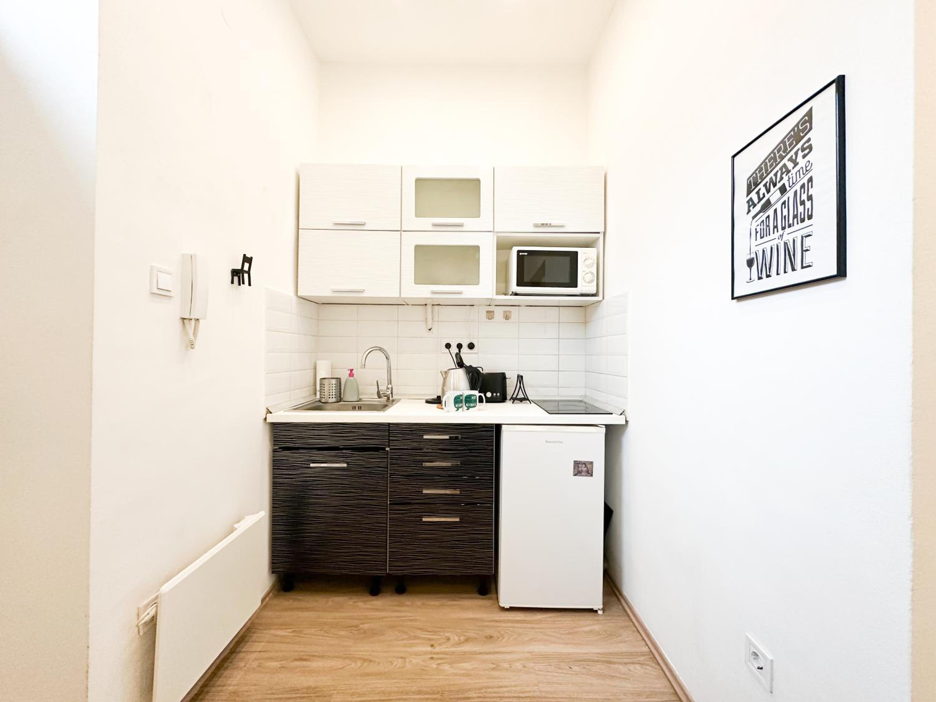 Spacious Buda Apartment Air Conditioning
