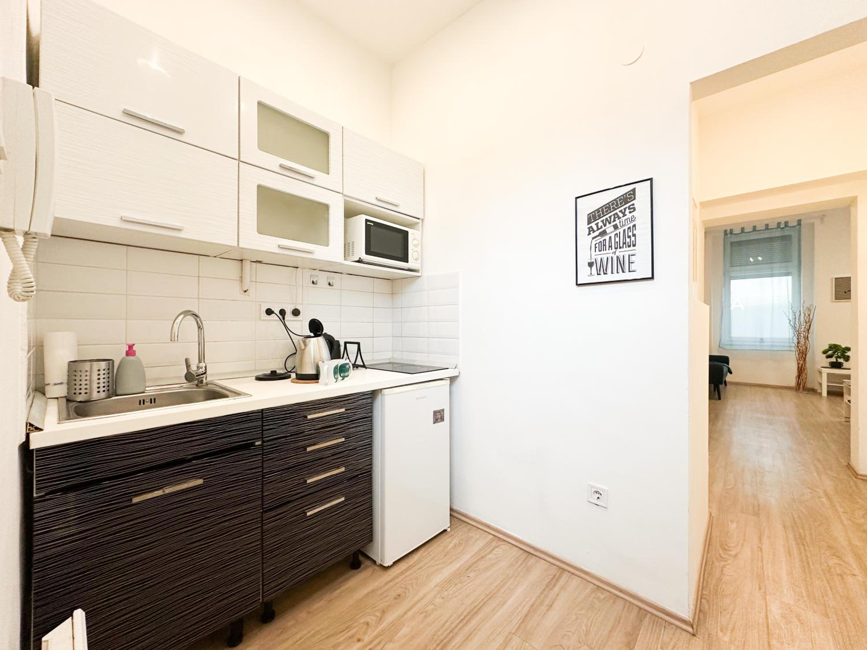 Spacious Buda Apartment Air Conditioning
