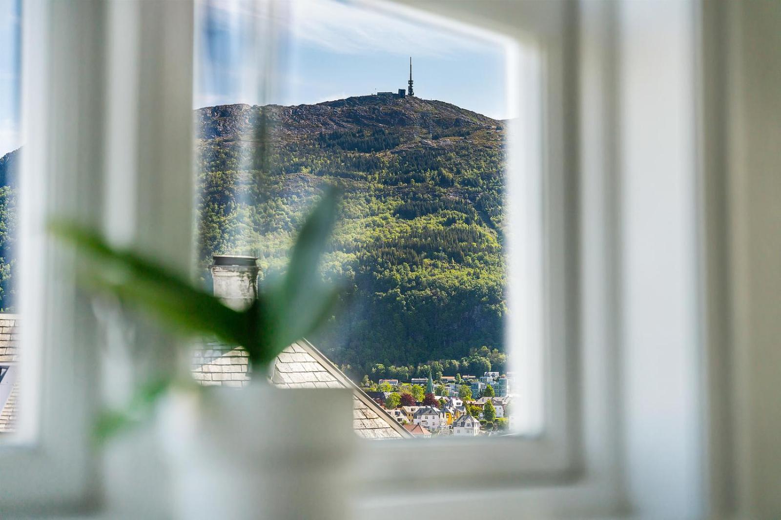 Panoramic Apartment & Garden view 4