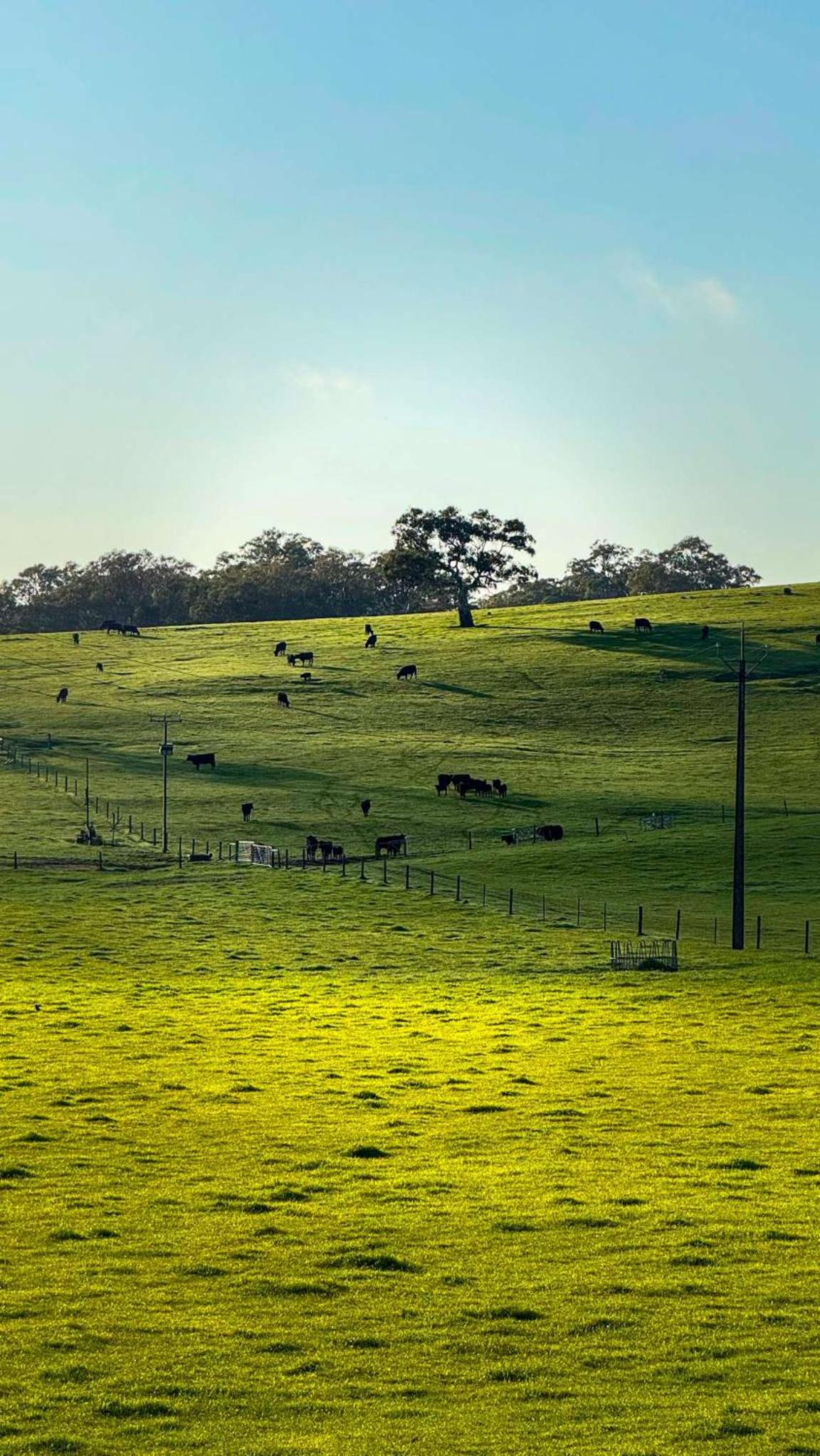 The Old Farm Cottage, Mount Torrens