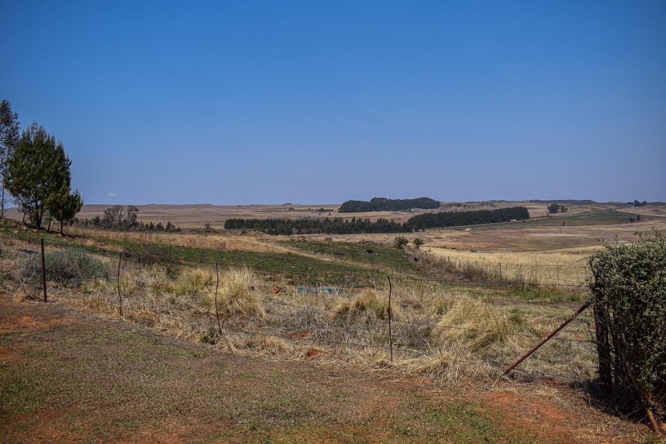 Dabchick Cottage view 2