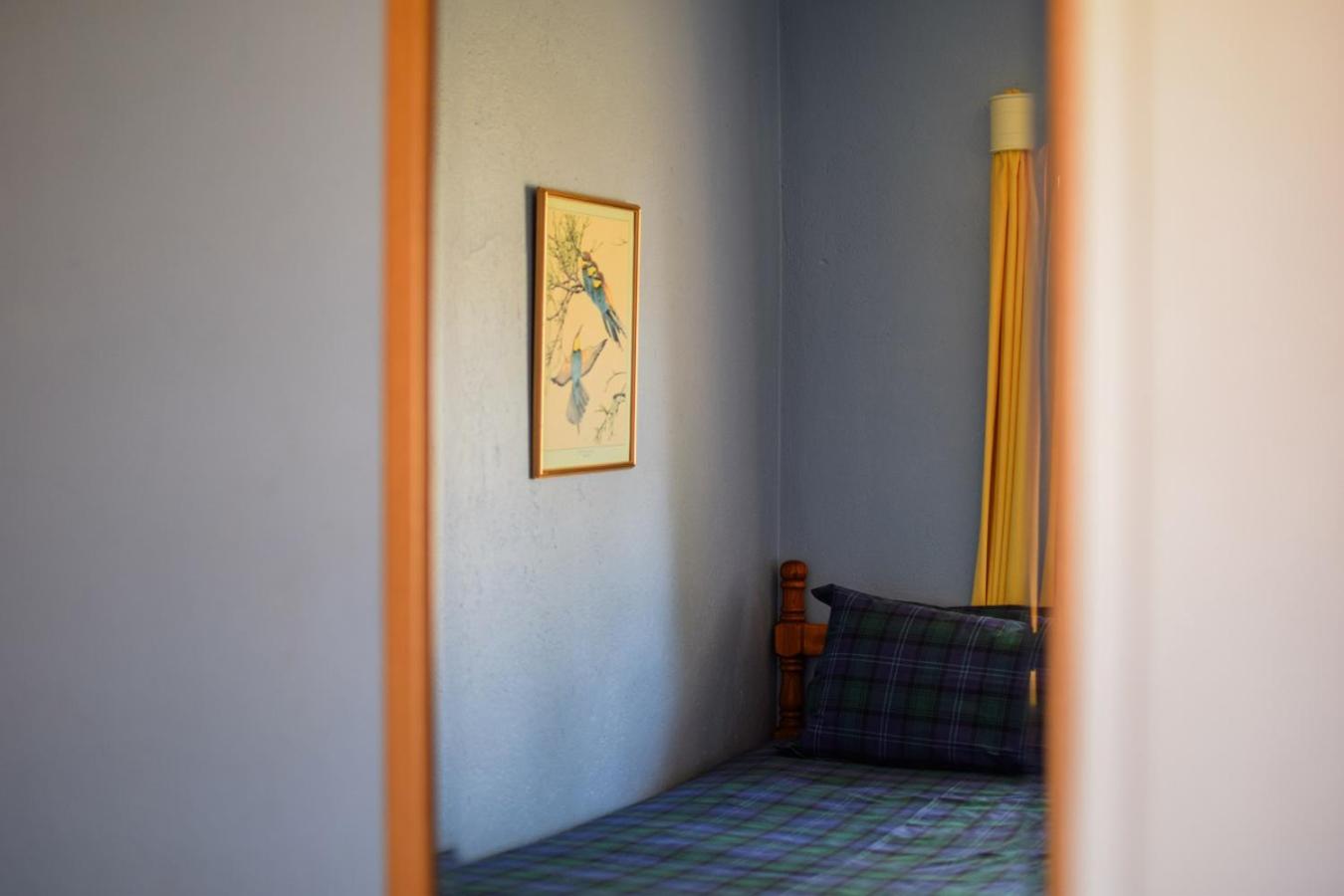 Photo 31