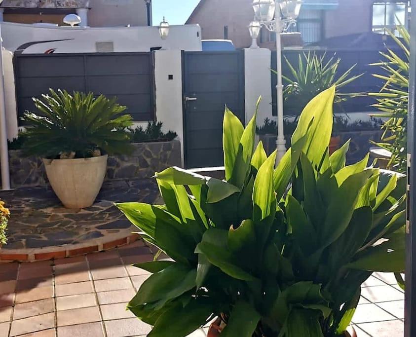 Photo 43