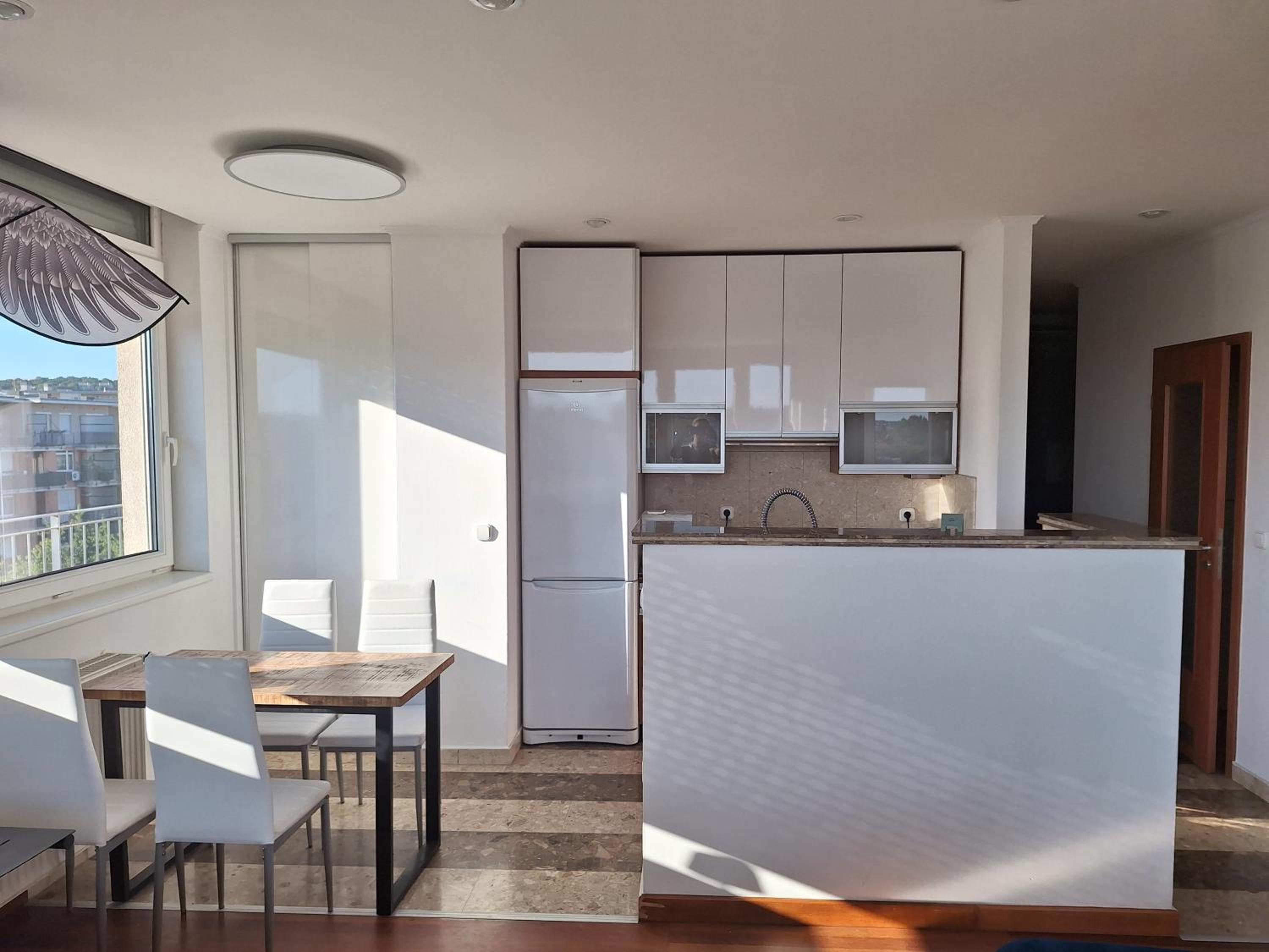 Penthouse Rooftop Residence with huge sky terrace view 3