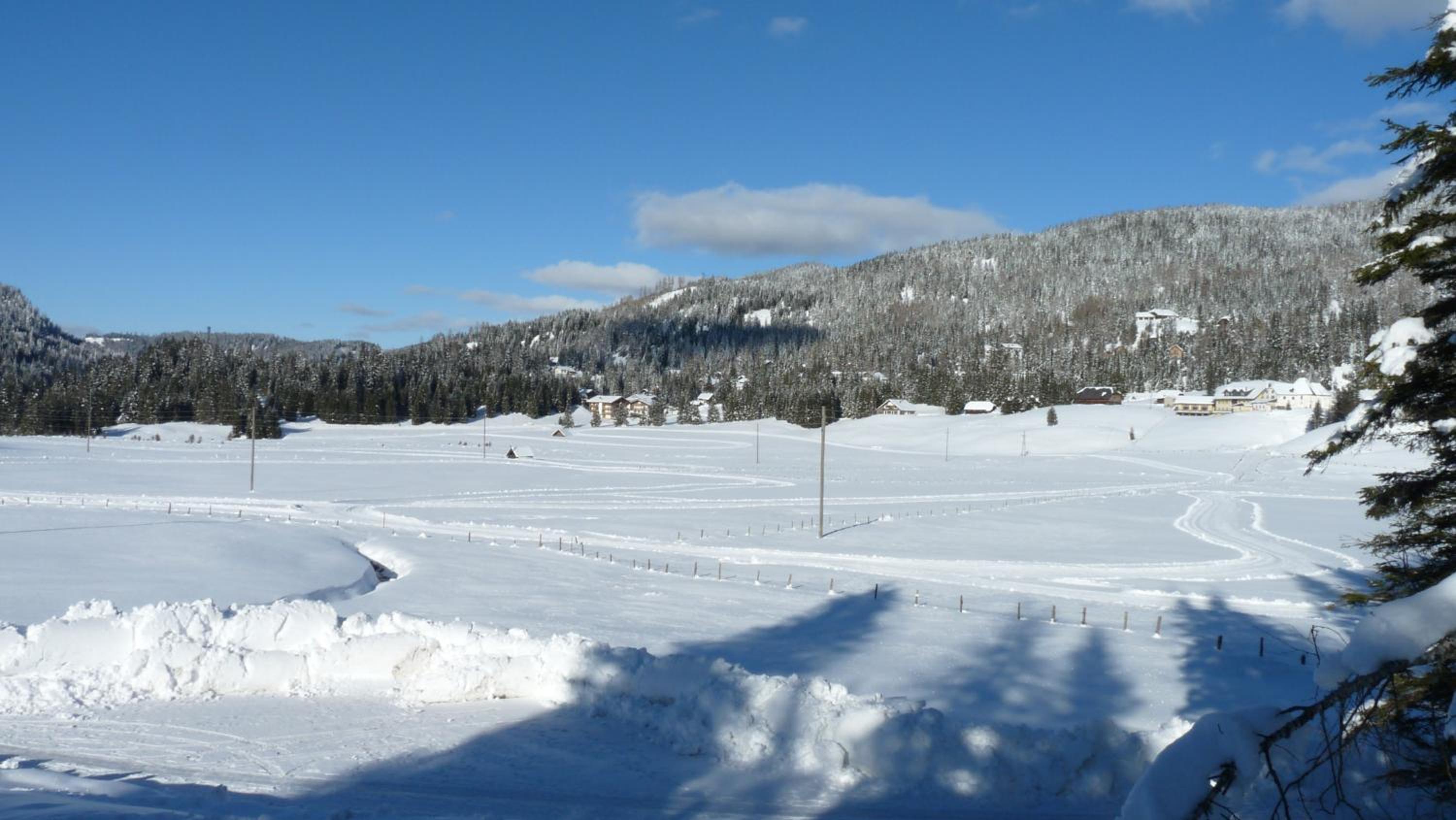 Ferienhaus Schäfer - Apartments - Wintersports - Family holiday - Holiday with your dog - Rural & Scenic