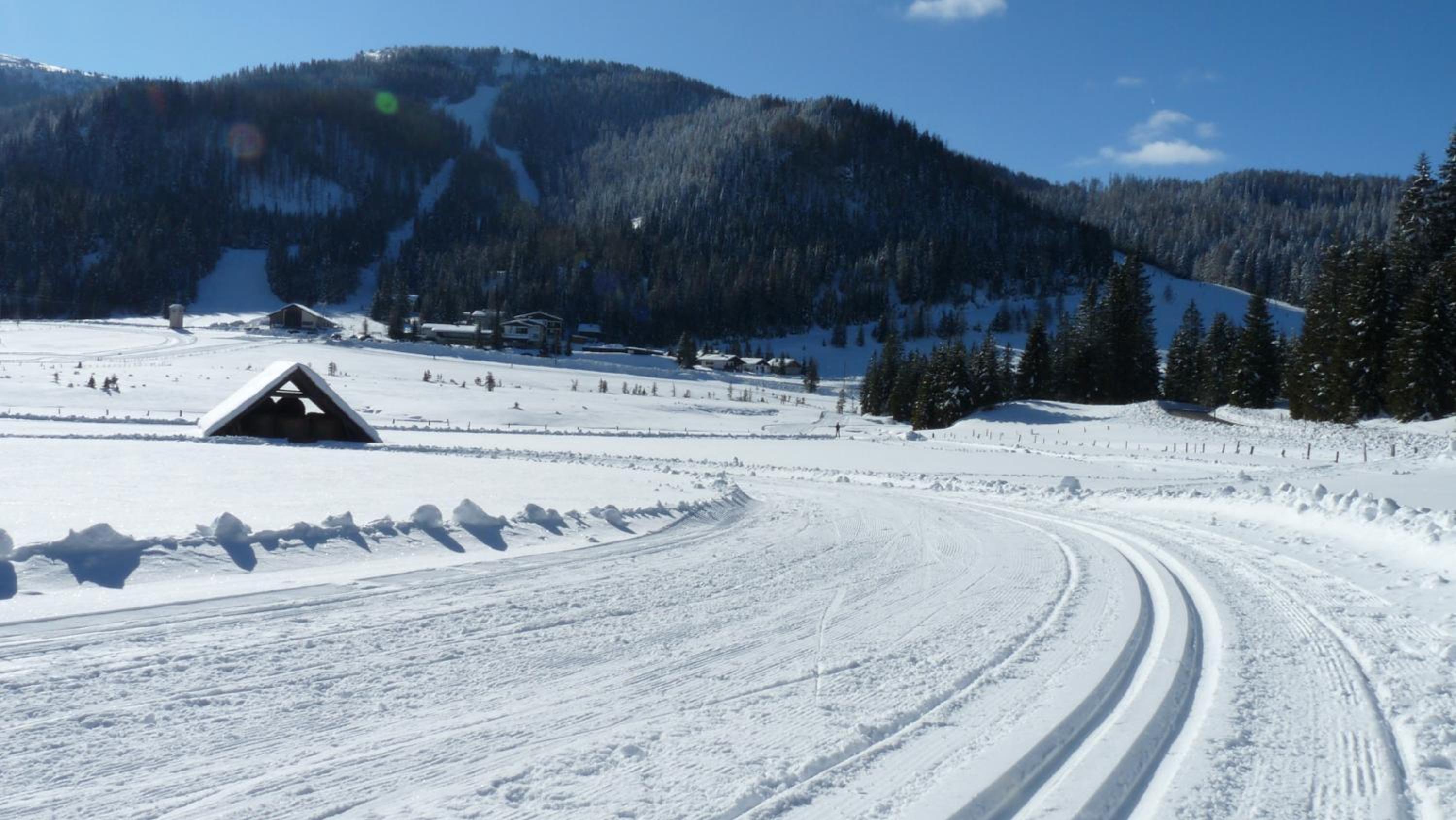Ferienhaus Schäfer - Apartments - Wintersports - Family holiday - Holiday with your dog - Rural & Scenic