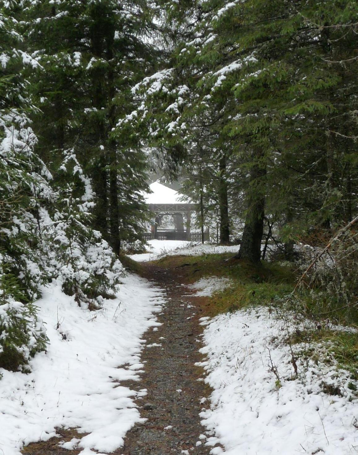 Ferienhaus Schäfer - Apartments - Wintersports - Family holiday - Holiday with your dog - Rural & Scenic