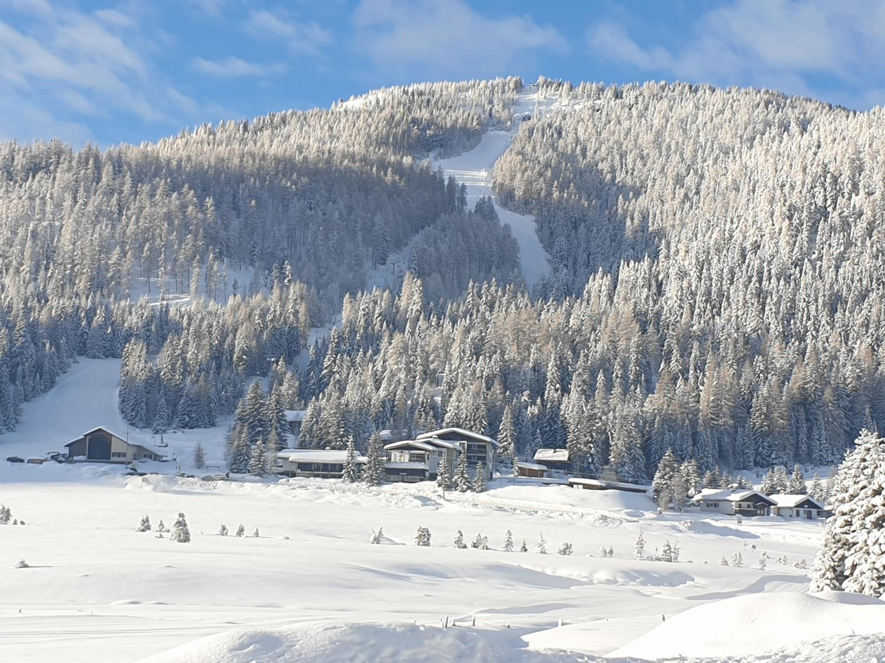 Ferienhaus Schäfer - Apartments - Wintersports - Family holiday - Holiday with your dog - Rural & Scenic