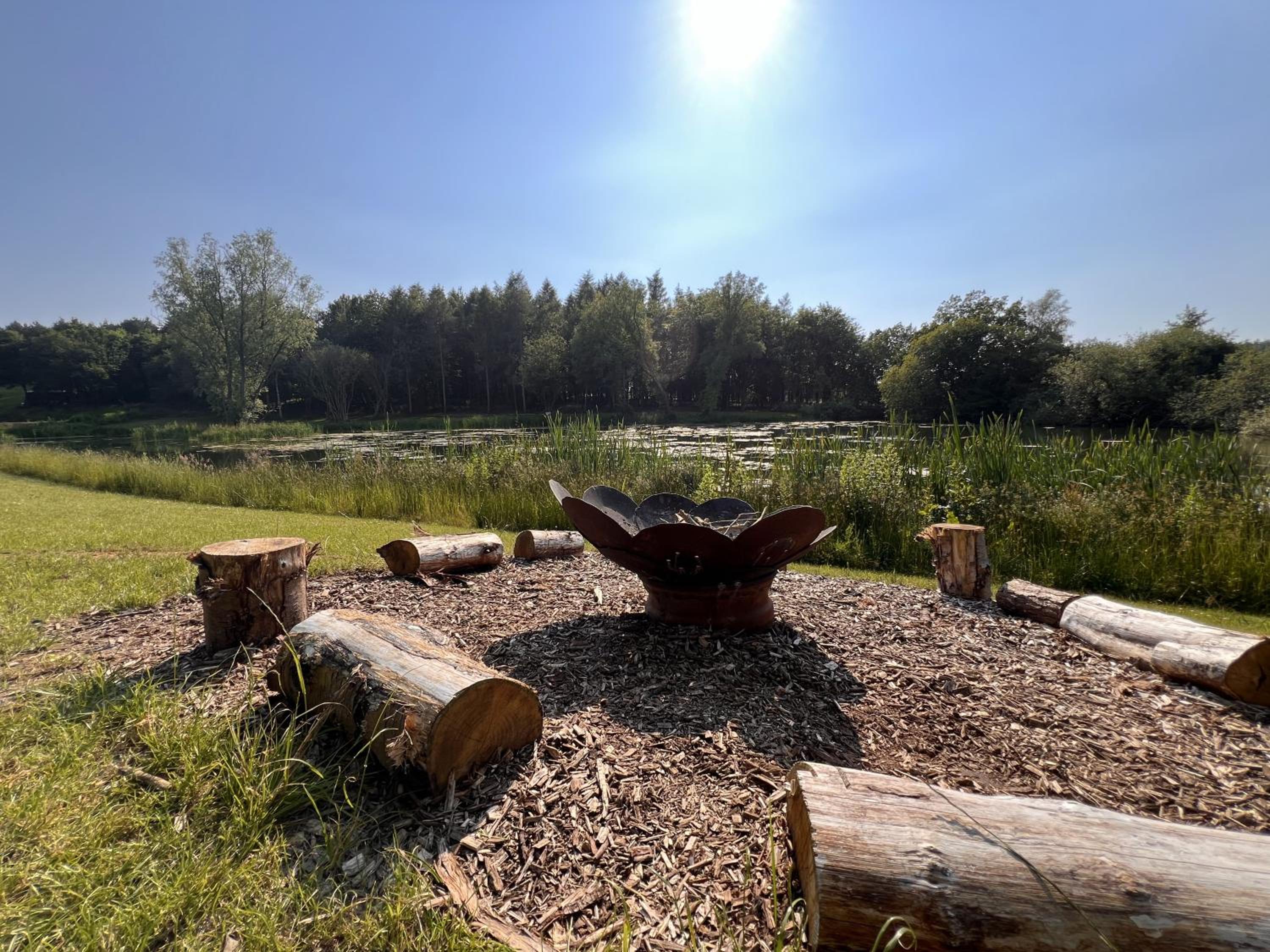 Holt Woodland Glamping - Shepherd Huts & Yurts Dog Friendly view 2