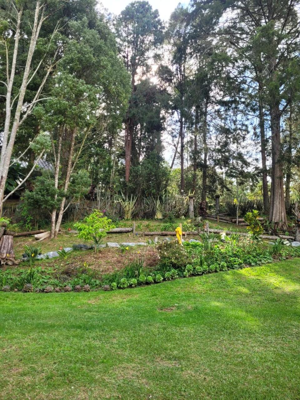 La Pascana Ecolodge frente al parque Arví Entorno natural excepcional, reserva natural, áreas protegidas, conexión con la naturaleza y avistamiento de aves