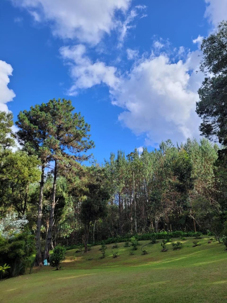 La Pascana Ecolodge frente al parque Arví Entorno natural excepcional, reserva natural, áreas protegidas, conexión con la naturaleza y avistamiento de aves