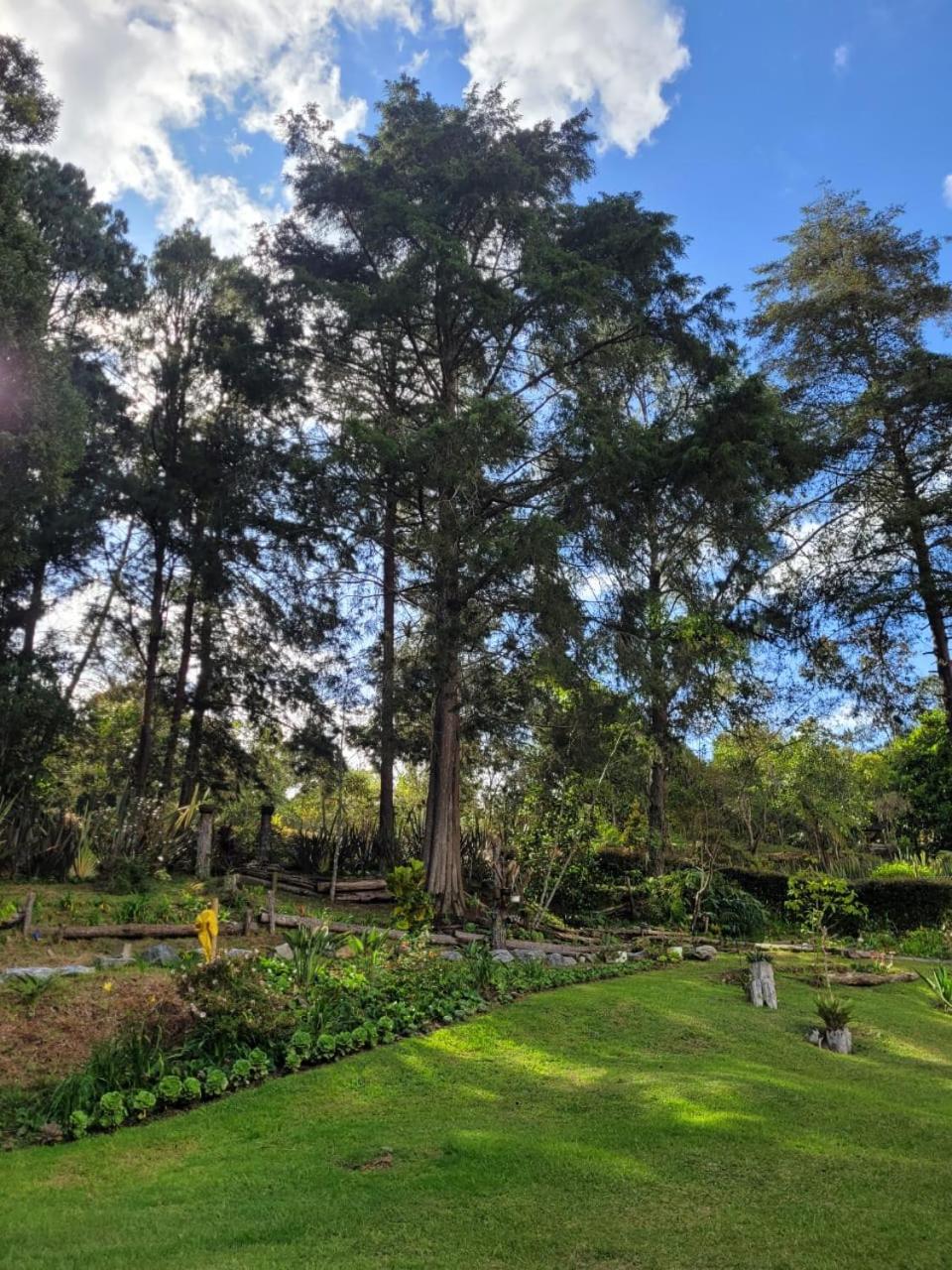 La Pascana Ecolodge frente al parque Arví Entorno natural excepcional, reserva natural, áreas protegidas, conexión con la naturaleza y avistamiento de aves