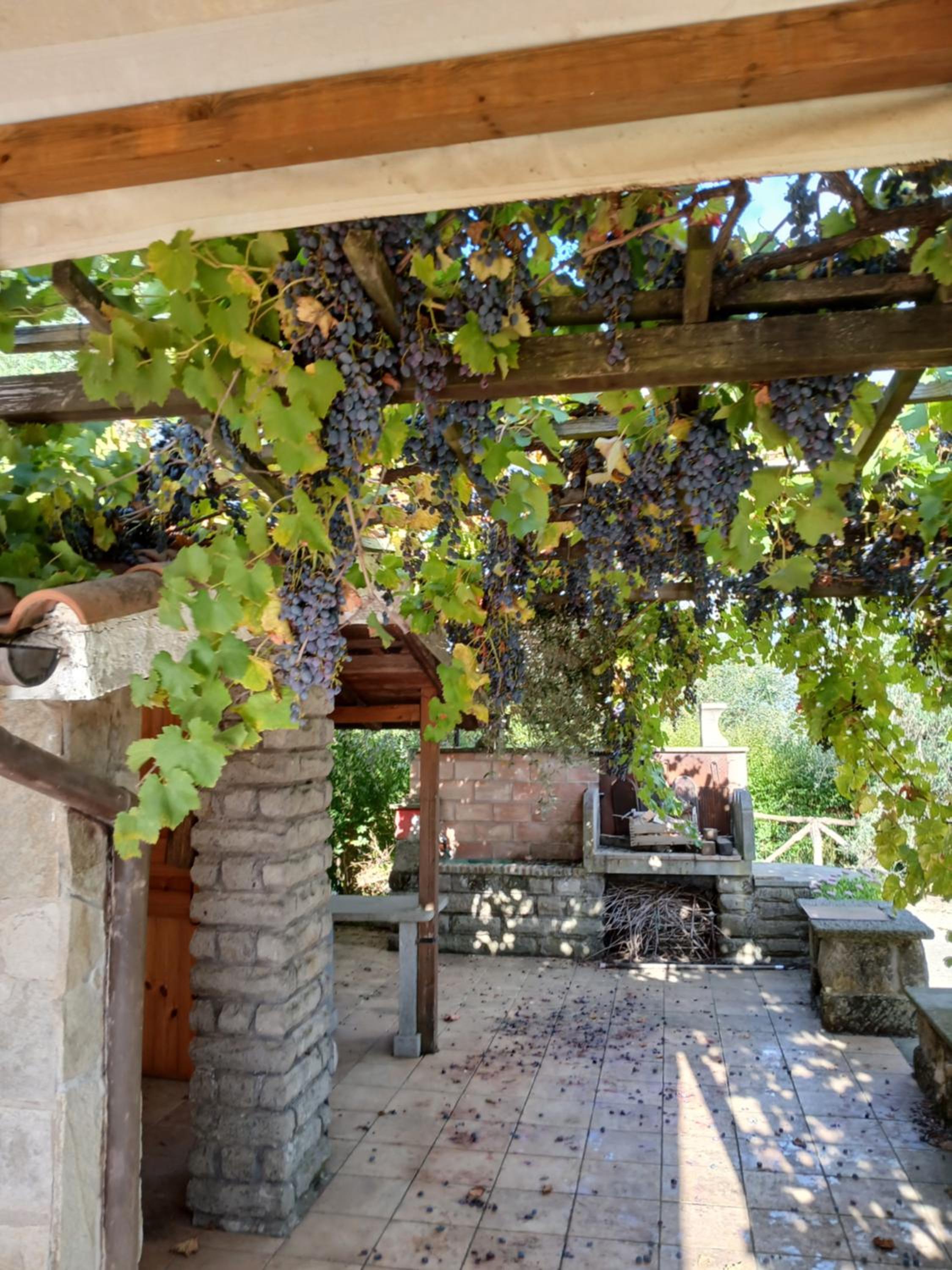 Casa Vacanze ' La Pace' view 4