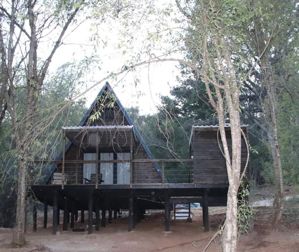 Treehaven Retreat