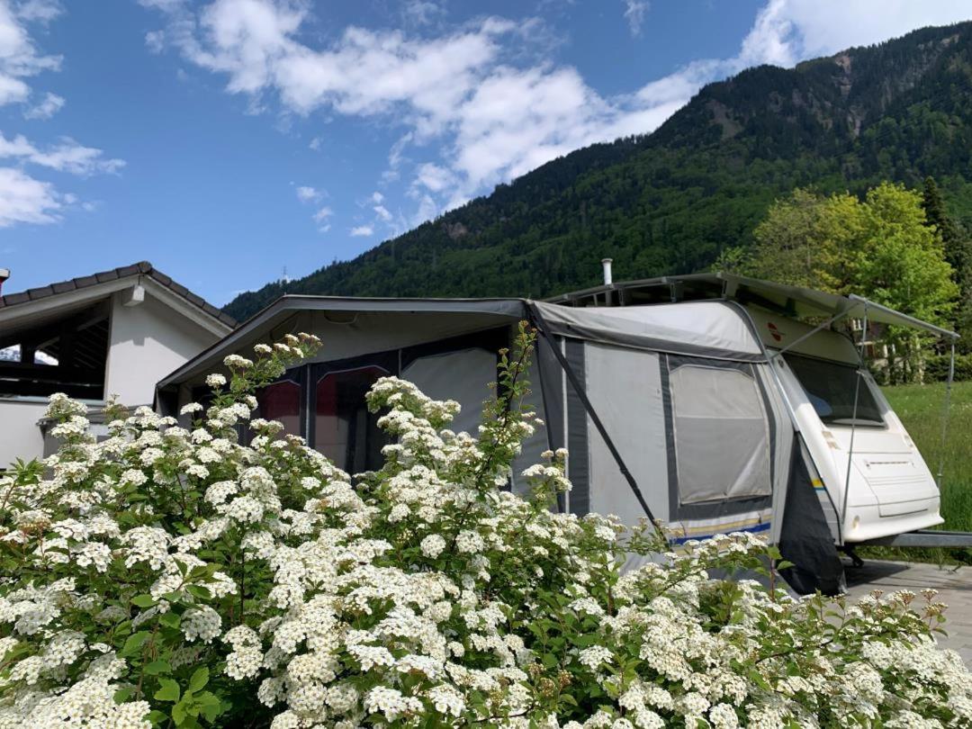 Revier caravan-ig und cool