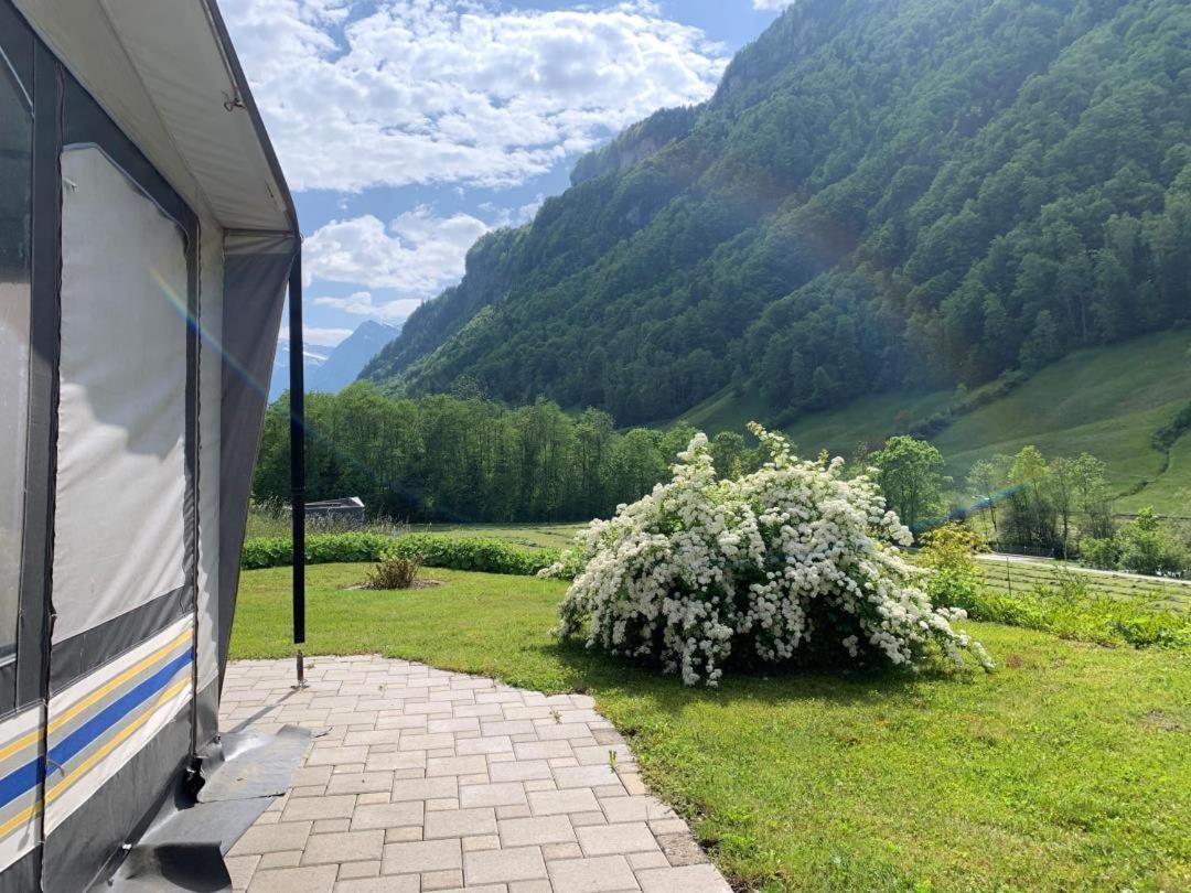 Revier caravan-ig und cool