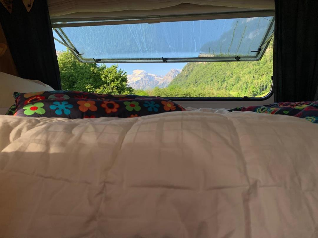 Revier caravan-ig und cool