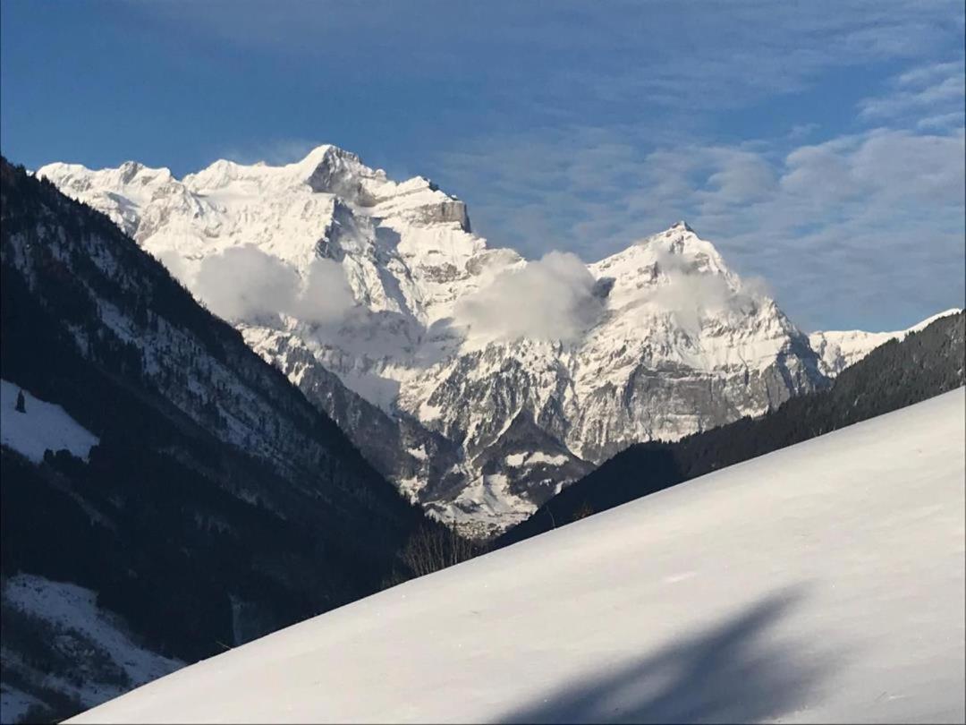 Revier hike to Herrenegg