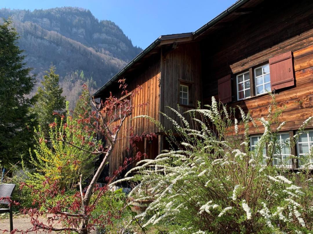 Revier lauschig und charmant view 3