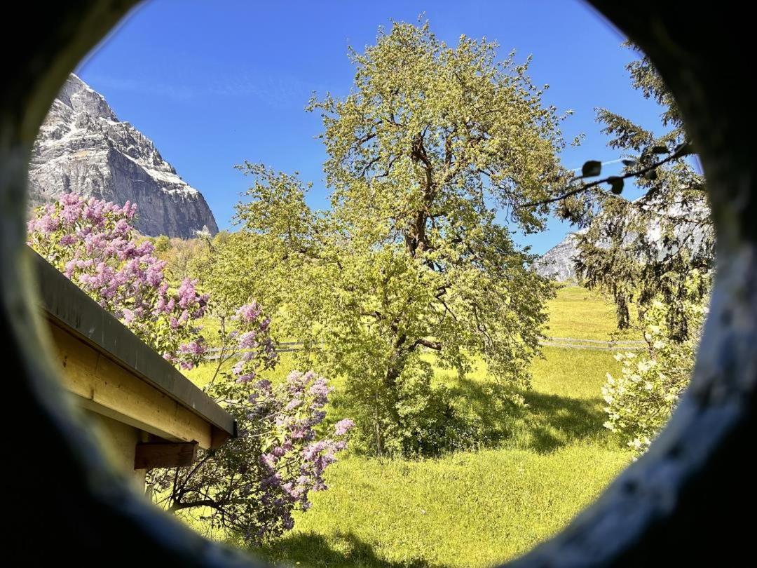Revier Natur pur
