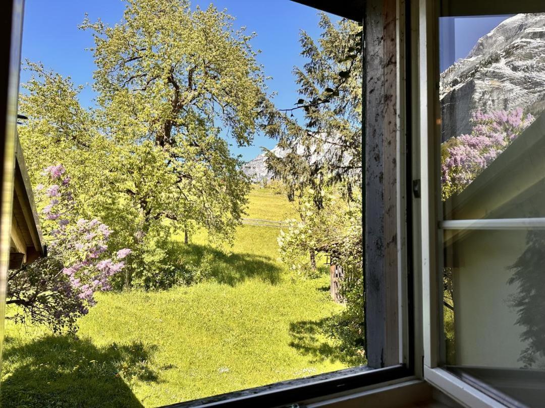 Revier Natur pur